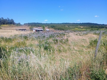 Parcela en venta en Pangue Abajo, San Rafael