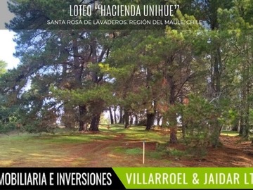 Venta / Parcela / Talca