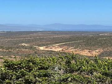 Terreno en venta en Huaquén, La Ligua