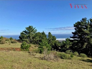 Terreno en venta en Oportunidad, Pichilemu