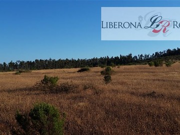 Parcela en venta en Fundo en Nilahue Alto, Pumanque - 3 dormitorios