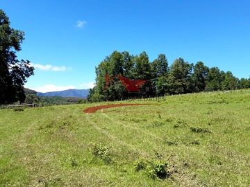 Terreno en venta en Parcela de 5.000 Metros Cuadrados, Loncoche, Novena Region.
