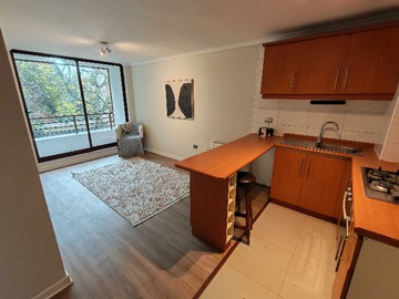 Departamento en arriendo mensual en Arriendo Dpto 2D 2B 1E San pedro de la Paz (175329), San Pedro de la Paz - 2 dormitorios, 2 baños