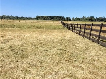 Parcela en venta en Puerto Octay region de los lagos, Puerto Octay