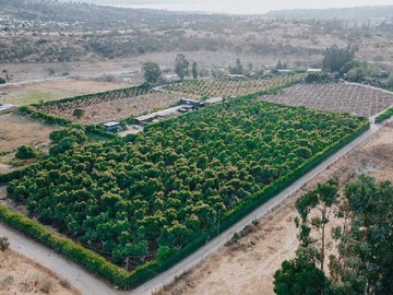 Terreno en venta en Parcela en venta en Limache (174799), Limache