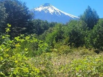 Venta / Terreno / Villarrica