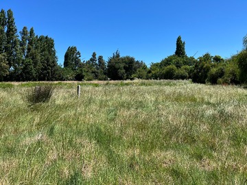 Terreno Agricola en venta en Caminio a pasoarena sector cuel km 1, Los Ángeles
