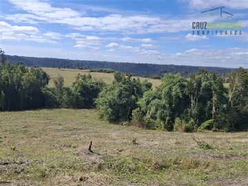 Terreno Agricola en venta en campo de 310 hectáreas con orilla del Río Puntra, Ancud