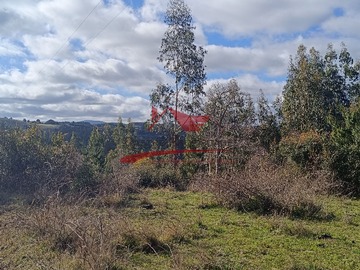 Terreno en venta en Terreno con 15 Hectareas, Carahue, Región de la Araucanía.