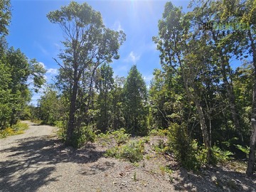 Parcela en venta en Parcela en Puerto Varas. Bosques del Tepual, Puerto Varas