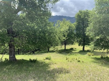 Parcela en venta en Hacienda lonquimay ubicada a orillas del rio bio bio, Lonquimay