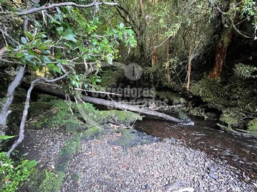 Terreno Agricola en venta en Carretera austral ppw, Hualaihué