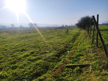 Venta / Parcela / Nogales