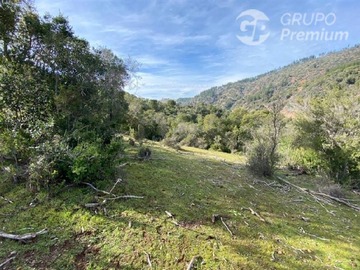 Parcela en venta en Provincia de Colchagua, Comuna de Santa Cruz, Región Bernardo O, Santa Cruz