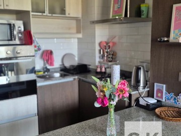 Departamento en arriendo mensual en Depto. amoblado 1D con terraza | Isla Teja (183188), Valdivia - 1 dormitorio
