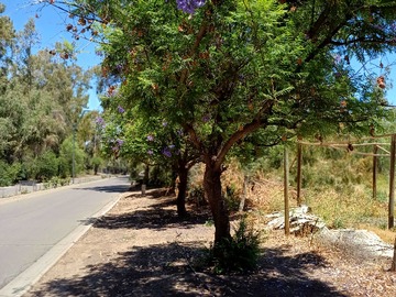 Terreno en venta en Naturaleza pura cerca de todo (178396), Lo Barnechea
