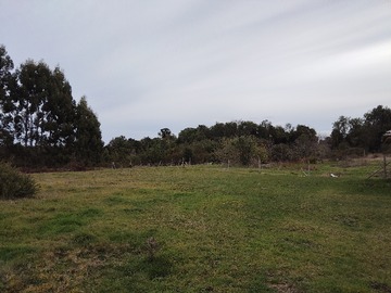 Venta / Terreno / Curaco de Vélez