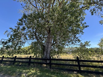 Terreno en venta en Frutillar, Frutillar Alto, Frutillar