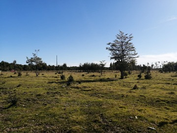 Parcela en venta en Sector colina el gato, Puerto Montt