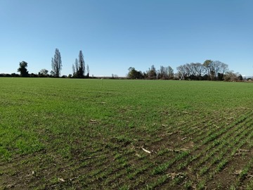 Terreno Agricola en venta en Km 11 antuco los angeles, Los Ángeles