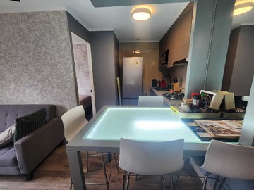 Departamento en venta en Amoblado 2D + 1B + 1 BOD Cerro Santa Lucia (171587), Santiago - 2 dormitorios, 1 baño