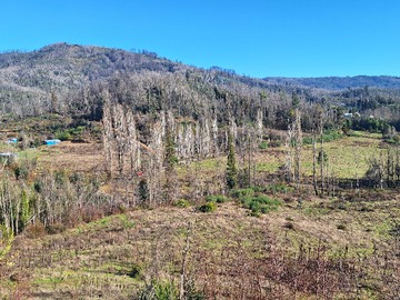 Terreno en venta en Parcela rusticas, 5000m2 en Chacay,Sta. Juana (112739), Santa Juana
