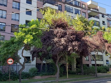Arriendo Mensual / Departamento / Las Condes