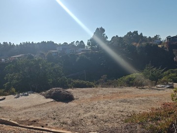 Sitio en venta en Magnifico sitio en zona urbana, Algarrobo