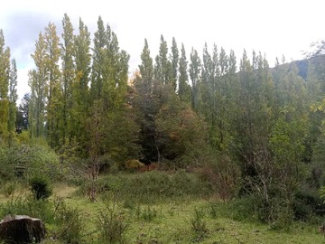 Terreno en venta en Opcional (157760), Río Ibáñez