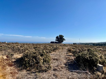 Terreno en venta en Terreno en Condominio con Rol y vista al mar (135850), La Ligua
