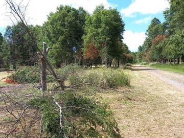 Terreno en venta en Oportunidad de Inversión en Entorno Natural (165873), Futrono