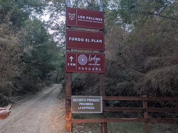 Parcela en venta en Los Pellines, Fundo el Plan, Coihueco