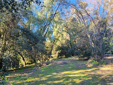 Parcela en venta en Sector rural de Curacaví, acceso por Ruta 68, Curacaví