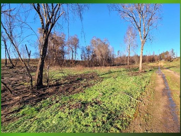 Terreno en venta en Lotes en colico bajo , santa juana (67692), Santa Juana
