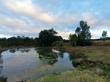 Terreno Agricola en venta en Moderna y Luminosa con Excelente Conectividad (182289), Los Muermos