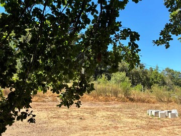 Terreno en venta en Hermosa parcela a sólo metros de carretera (146105), Cabrero