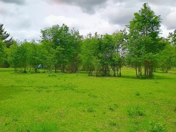 Parcela en venta en Villarrica, Villarrica