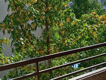 Arriendo Mensual / Departamento / La Florida