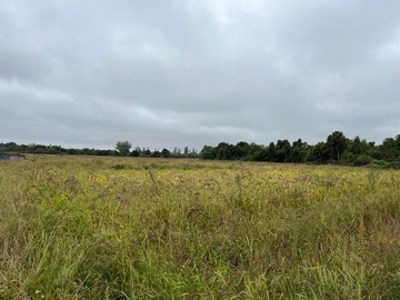 Venta / Terreno Agricola / Longaví