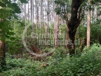 Terreno en venta en Osorno Norte, Osorno