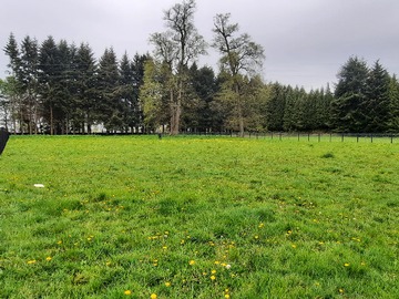 Terreno en venta en Terreno en Venta - Frutillar 5.000 M2