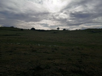 Parcela en venta en Linea Nueva, Puerto Varas