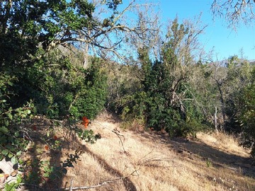 Terreno en venta en Camino La Chupalla Lote 12, Curacaví