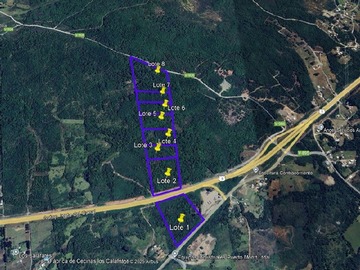 Terreno Agricola en venta en ruta 5 km 1030, camino pargua, Calbuco