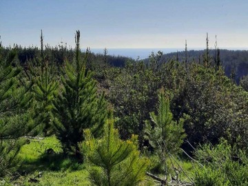 Terreno en venta en Terreno Amplio para Proyectos Únicos (158454), Pichilemu
