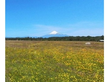 Parcela en venta en Santa María 447, Puerto Octay, Los Lagos 5370000, Chile, Puerto Octay