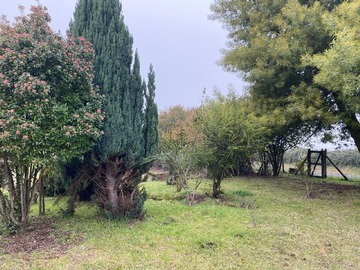Terreno en venta en Terrero fertil, todo cultivo y frutales (104164), Negrete - 2 dormitorios, 1 baño