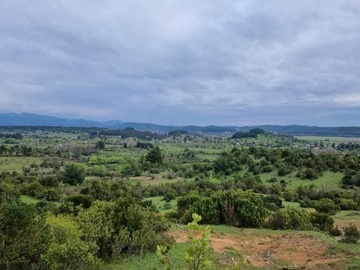 Parcela en venta en Hualonco, Longaví