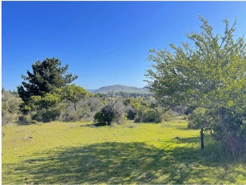 Terreno en venta en 5000 mts terreno plano Ruta L30 (174276), San Javier de Loncomilla