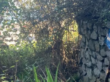 Terreno en venta en Excelente Terreno